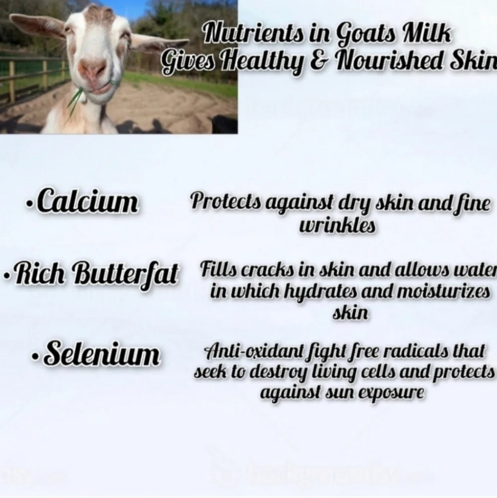 Pineapple Hibiscus GOAT MILK SOAP 1 Bar_8